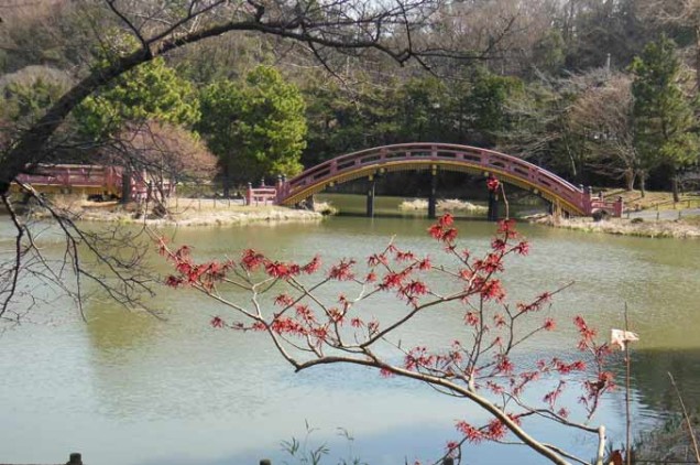 小迫　早春の称名寺
